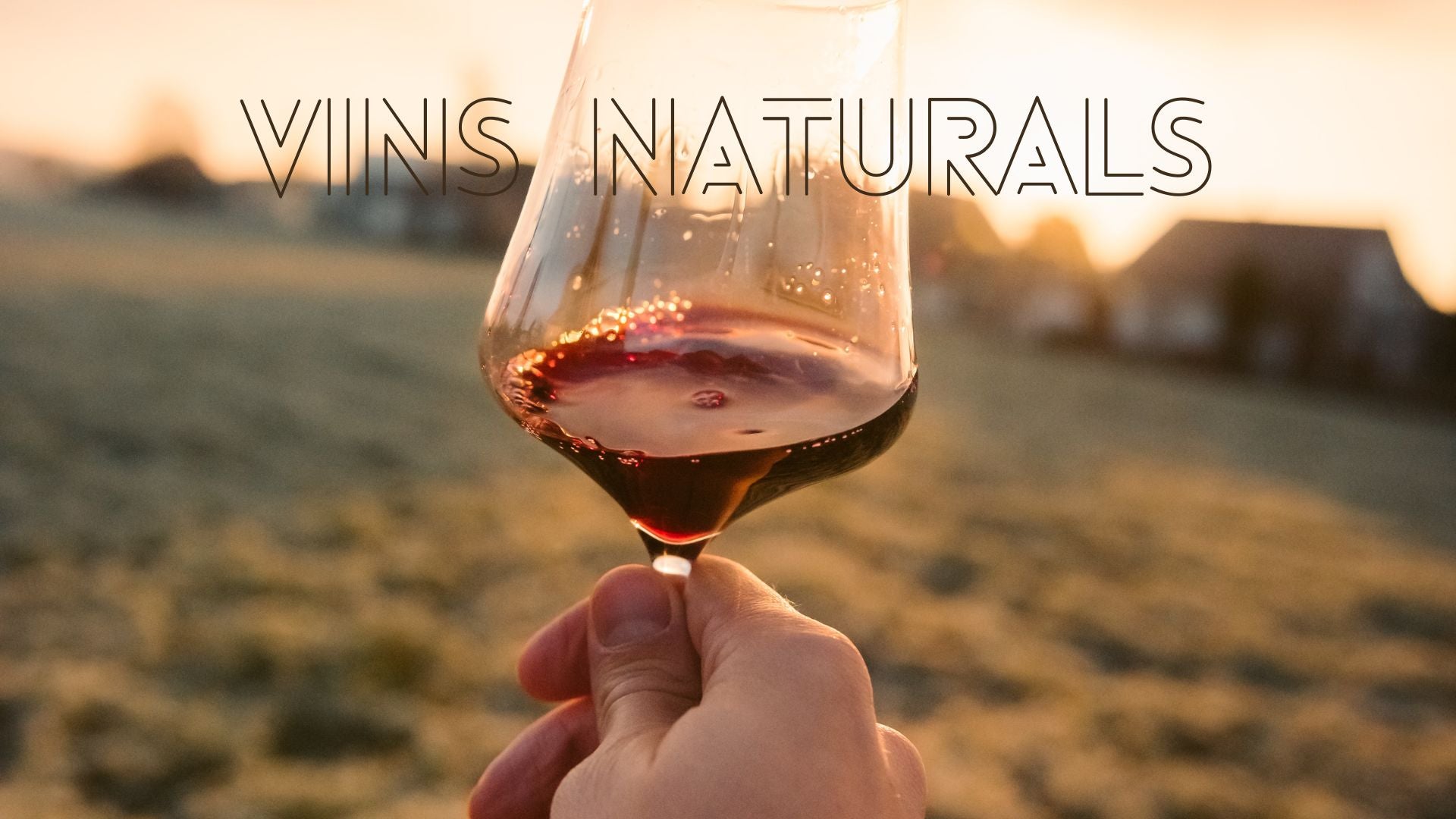VINOS NATURALES – CELLER CASTAÑÉ